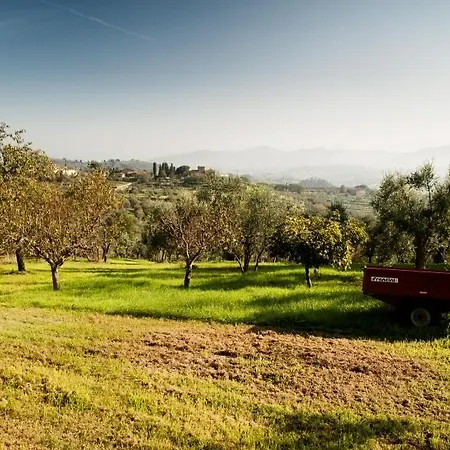 Podere Scaluccia